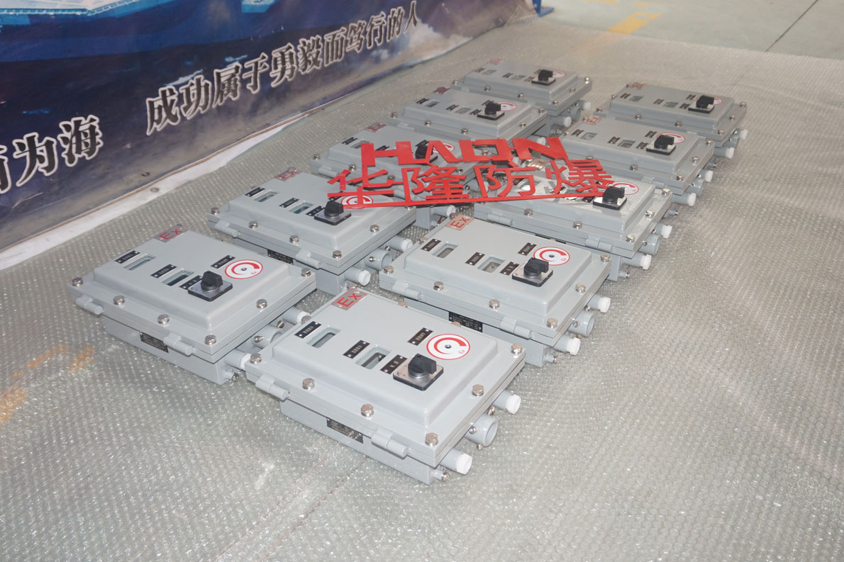 玻璃反應(yīng)釜防爆變頻控制盒