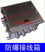 BXJ52-G系列防爆接線箱：