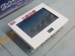 BJK系列工業(yè)防爆監(jiān)視控制系統(tǒng)(IIB）/防爆顯示器