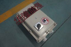 反應釜專用防爆控制箱