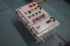 IIB級防爆照明(動力)配電箱-Q235碳鋼-掛式